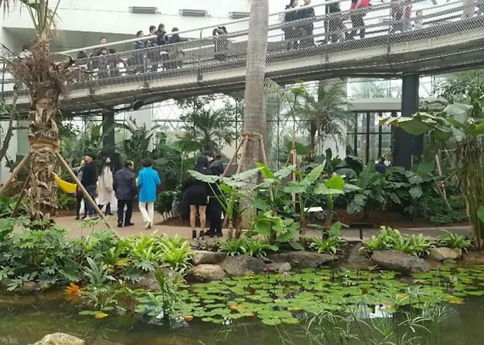 Airport Seul